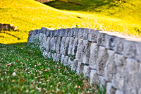 Nature/Landscape